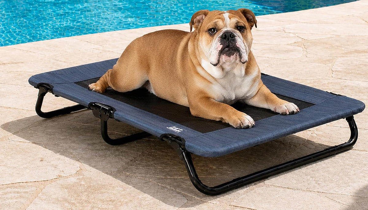 Pet Gear Lifestyle Pet Cot Elevated Bed, 30 Inch, Slate Blue