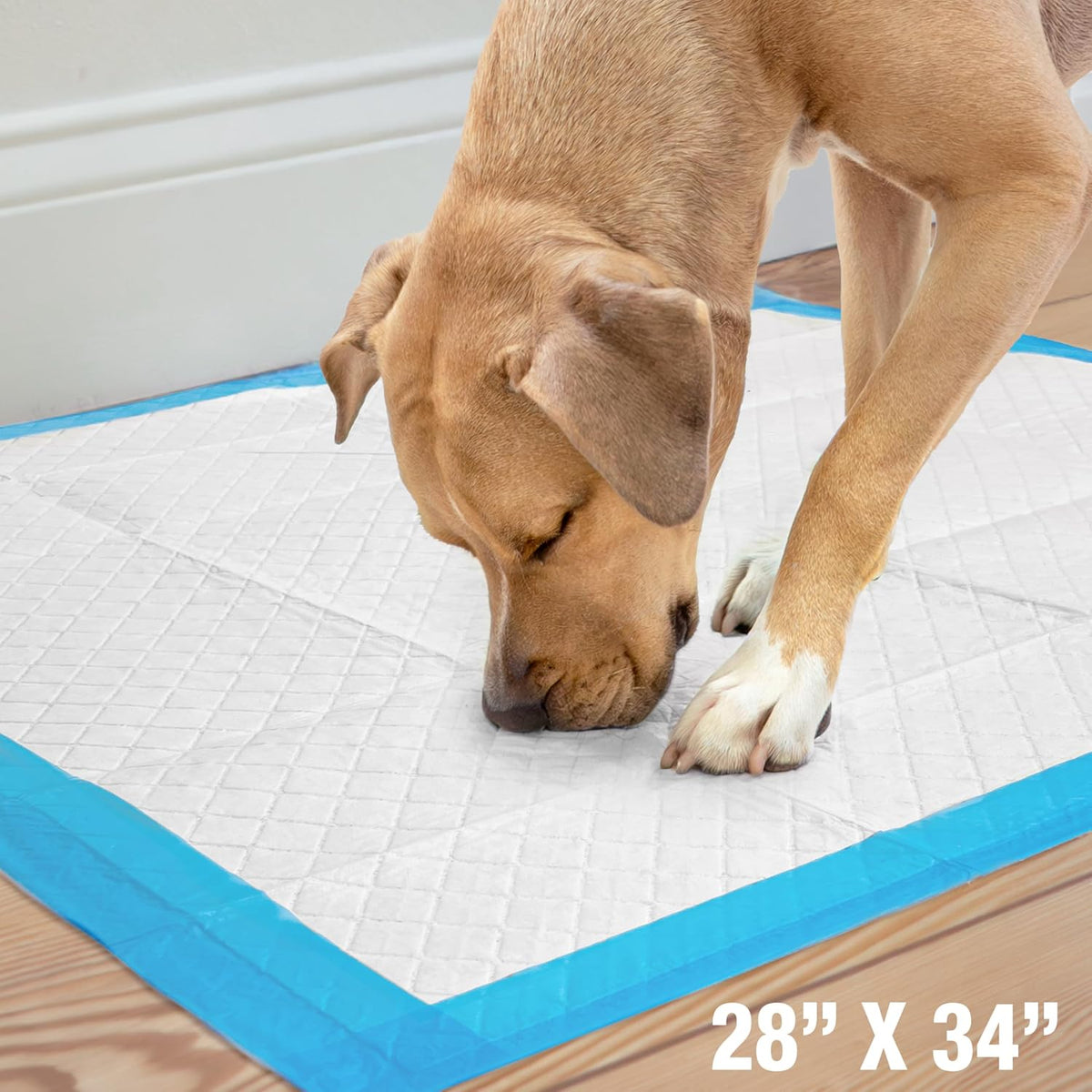 Four Paws Wee-Wee Superior Performance Extra Large Pee Pads for Dogs with Runoff Barrier Edge Guard Protection, Puppy & 