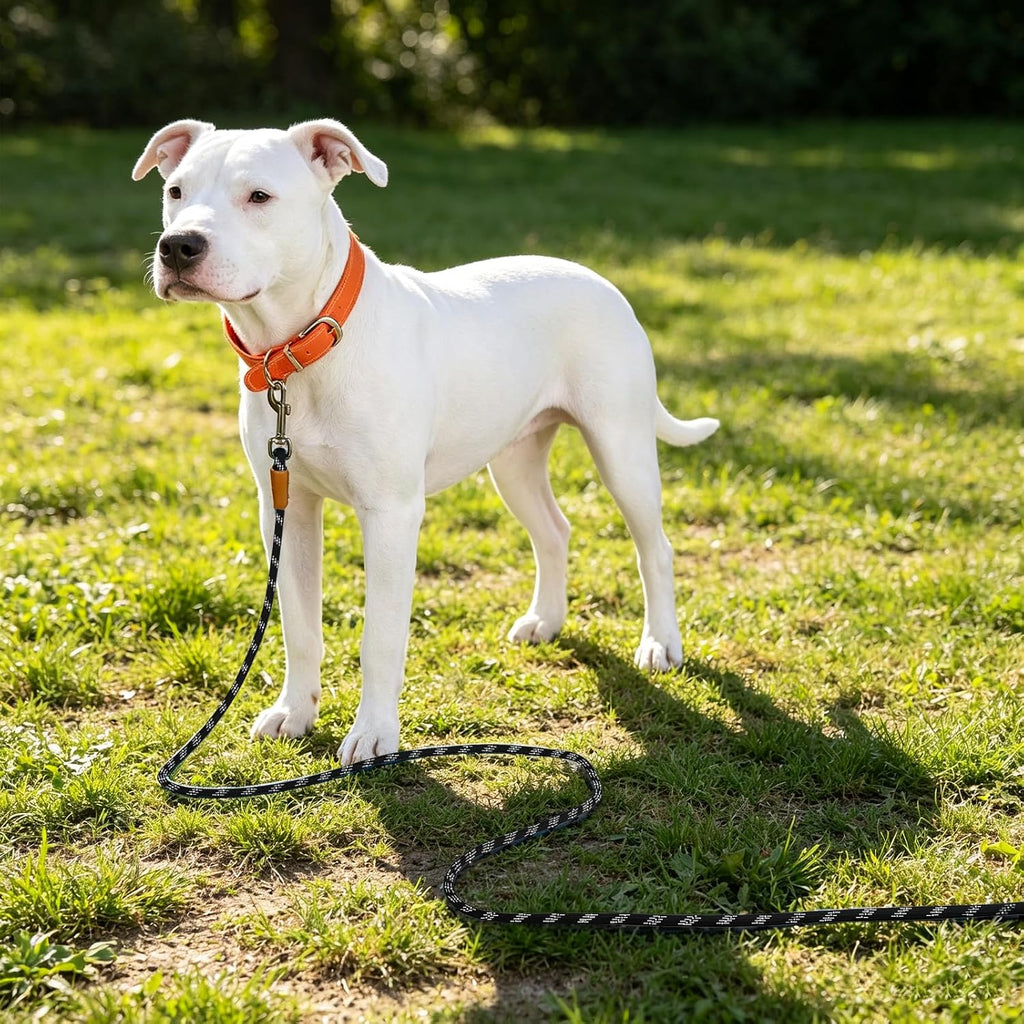 Long Dog Leash Reflective Rope Training Lead 15ft 30ft 50ft Check Cord