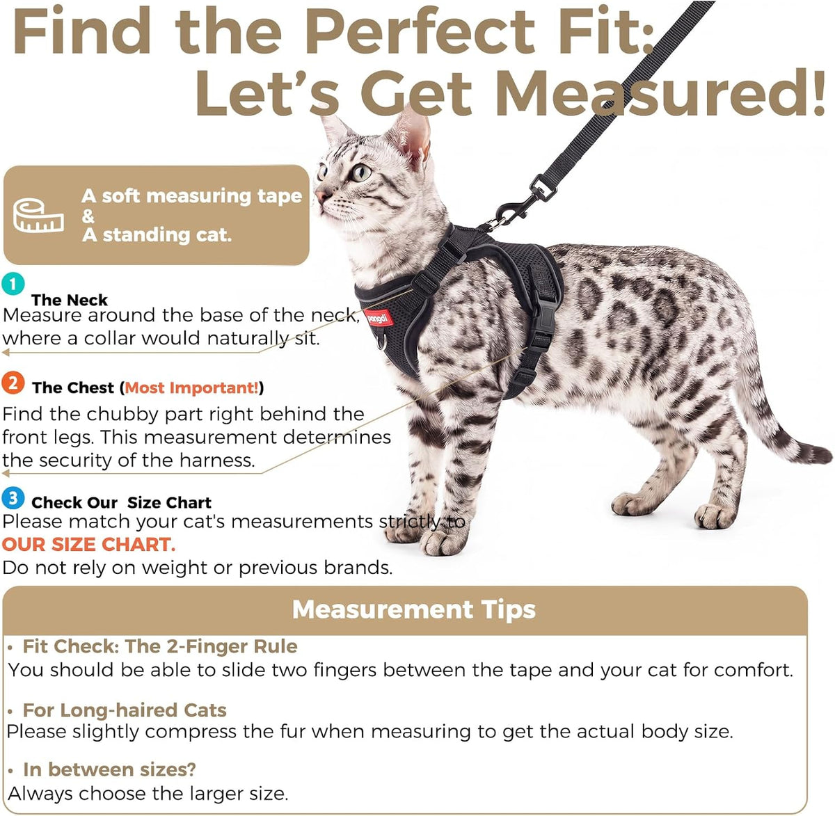 Cat Harness and Leash Set, Lightweight Air-Mesh Cat Vest, Black, XXL