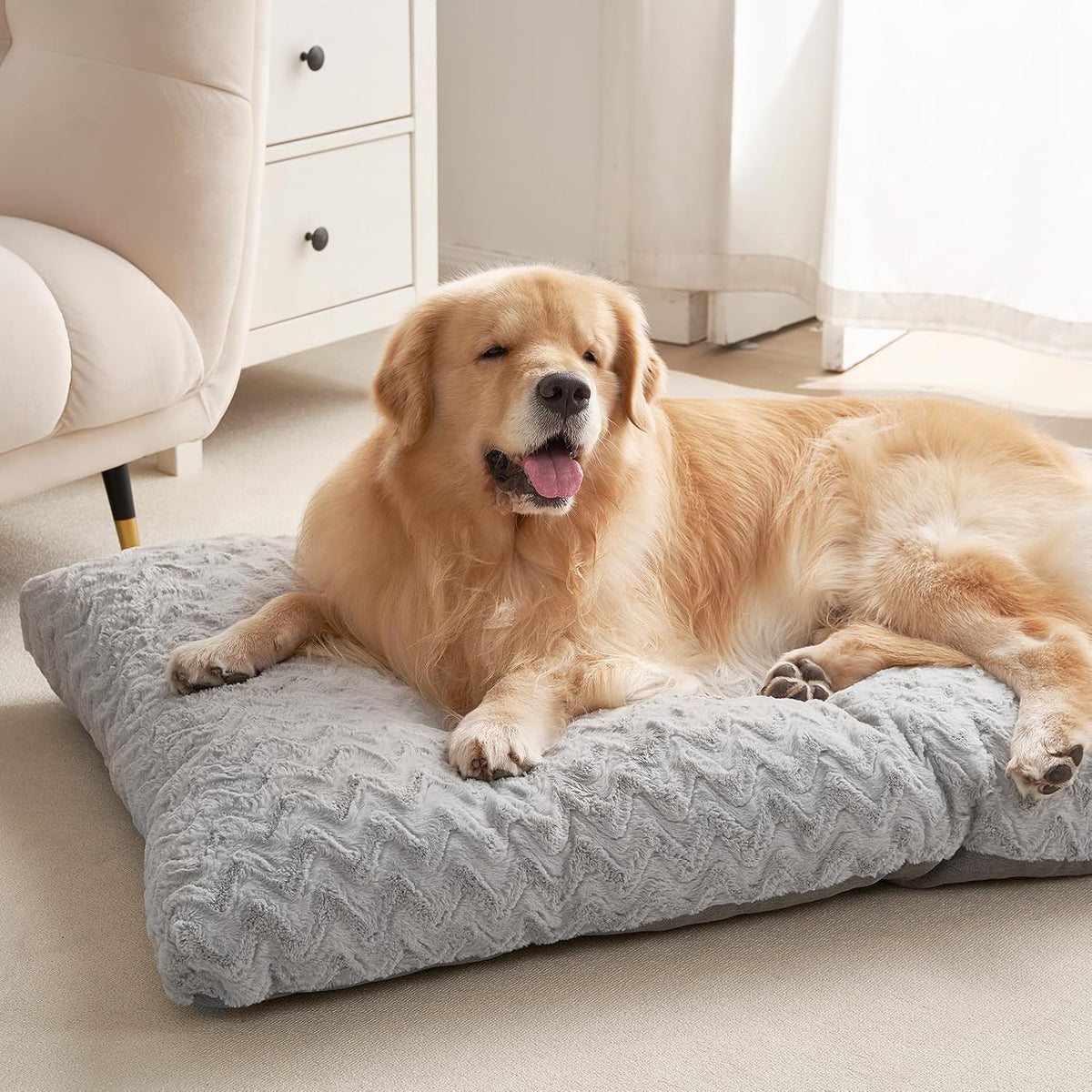 EHEYCIGA Washable XL Dog Beds Large Sized Dog, 41x27 Inch Pet Bed, Grey