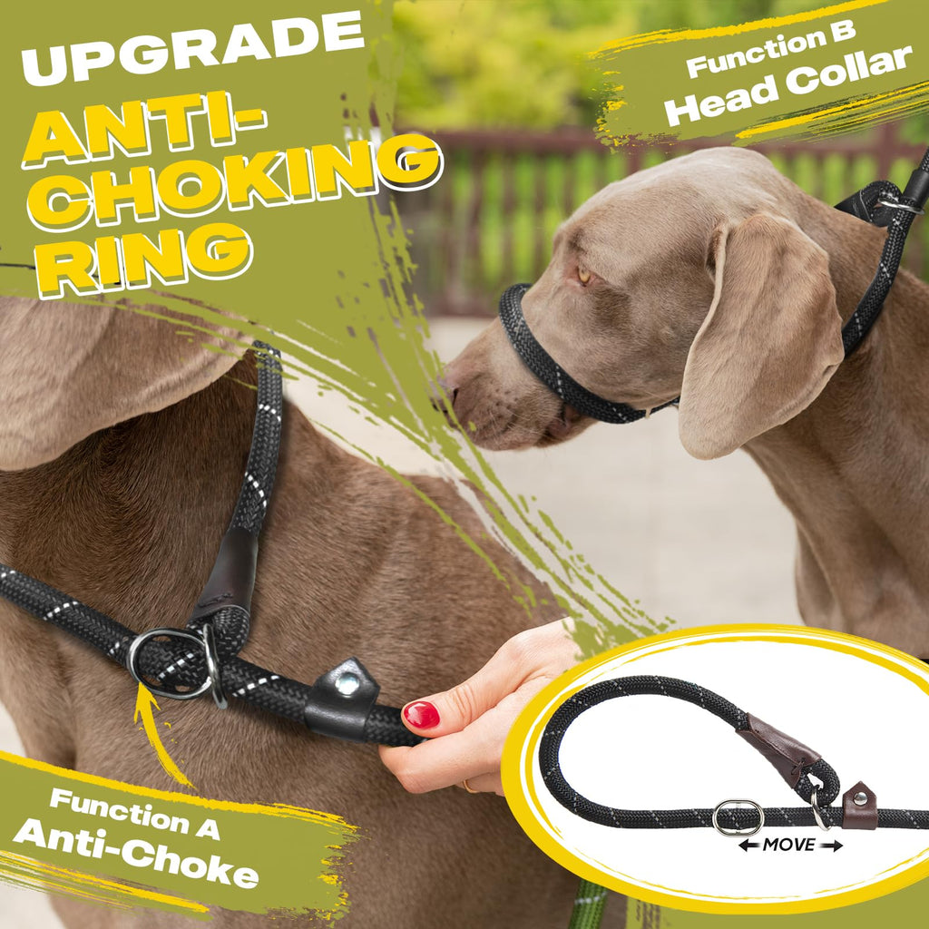 Fida Durable Slip Lead Dog Leash, 6 FT x 1/2" Dog Training Leash, Black
