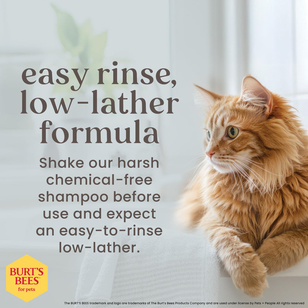 Burt's Bees for Pets Hypoallergenic Cat Shampoo, Shea Butter, 10 Fl Oz
