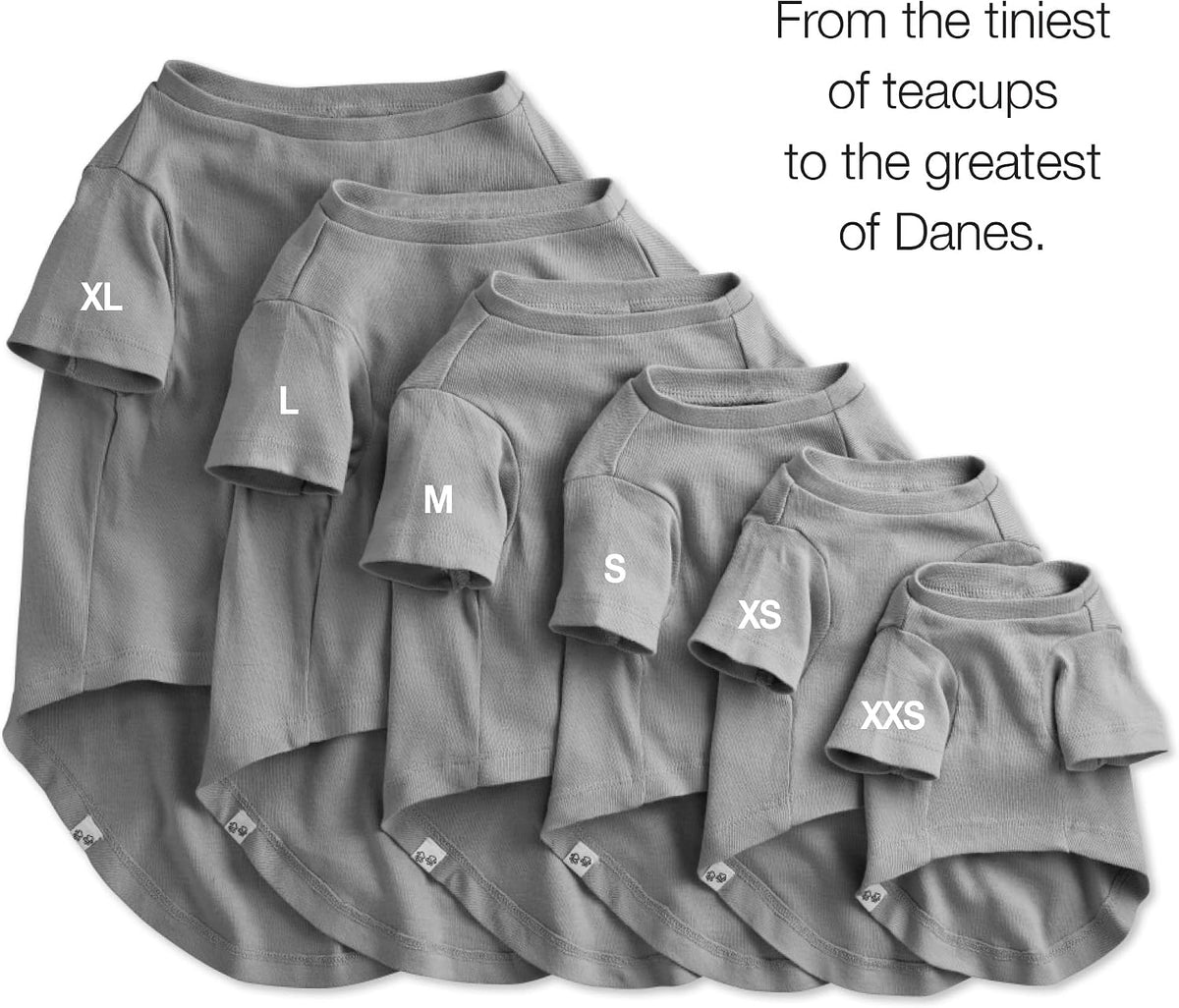 Pet Passion Toby 3-Pack 100% Organic Cotton Dog Short Sleeve T-Shirt Pet Tees for All Breeds, Gray Ombre, Large (40-60 l