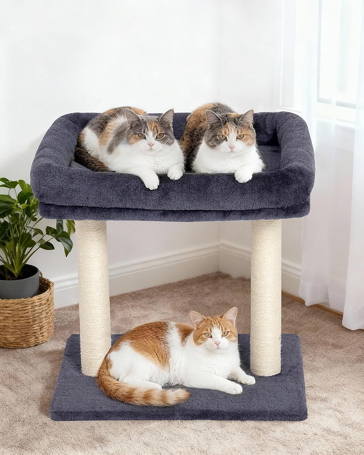 19" Small Cat Tree with Scratching Post for Indoor Cats with Perch