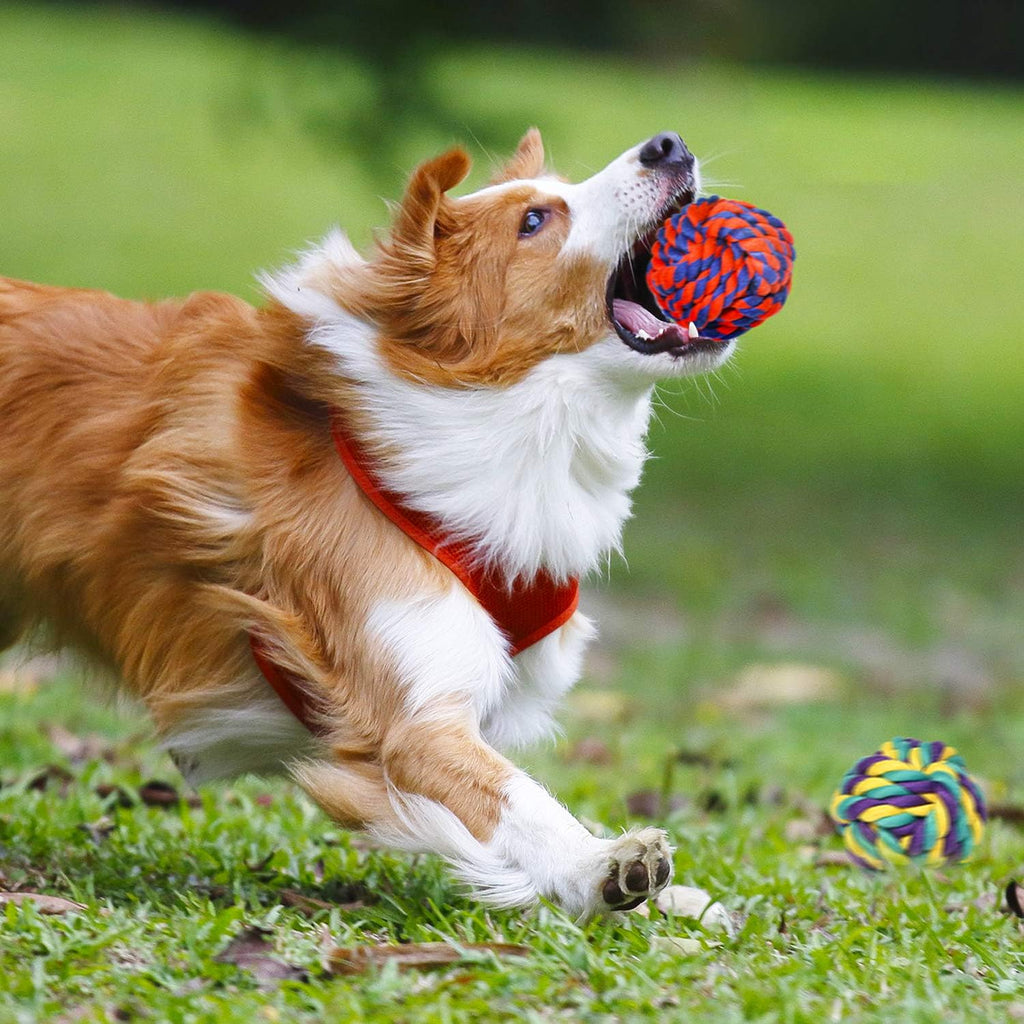 Large Tough Chew Toys for Aggressive Chewers, 9 Pack Dog Rope Toys