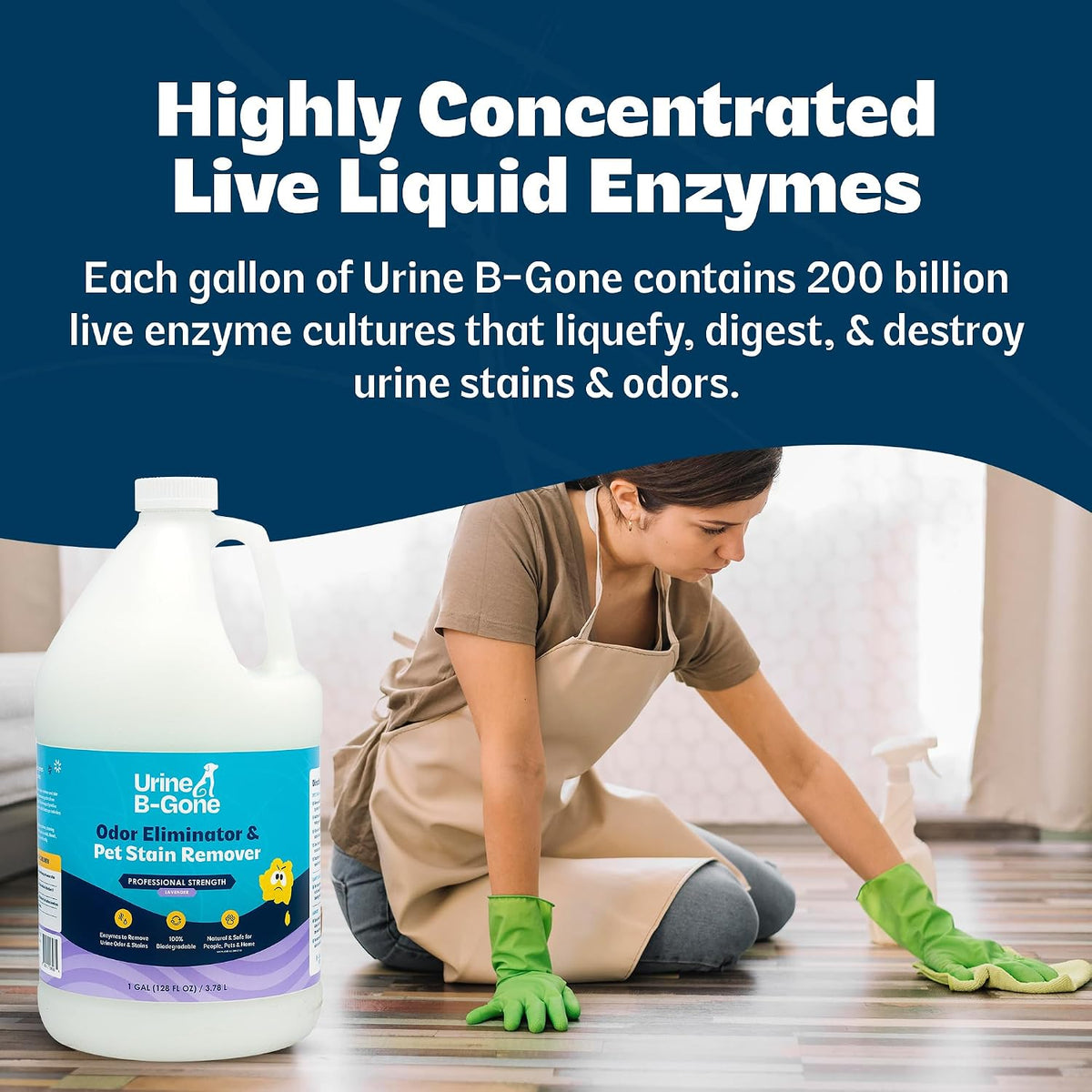 Urine B-Gone Enzyme Cleaner for Human, Cat & Dog Urine, Lavender, 1 Gallon