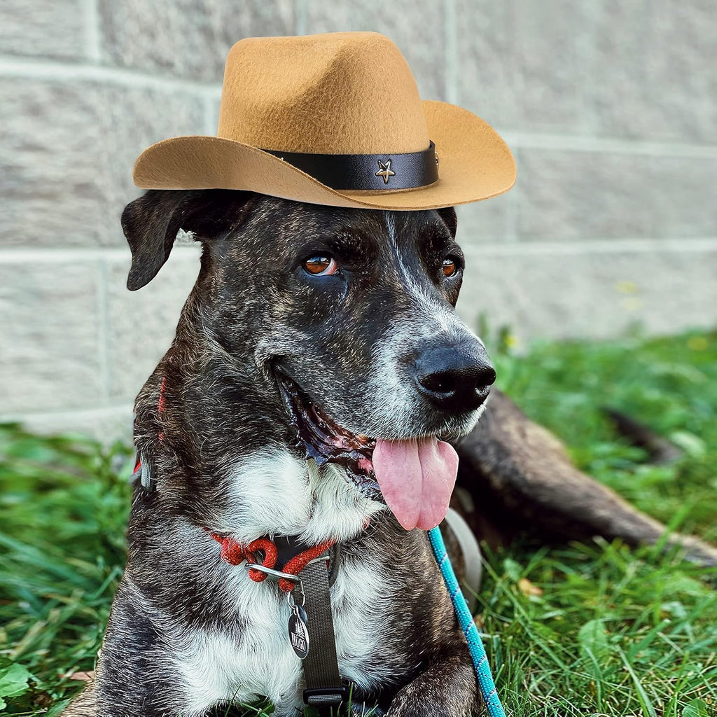 Yewong 3 Pieces Pet Hat Pet Formal Top Hat Mexico Sombrero Hat Cowboy Hat Dog Cat Pet Costume Hat for Halloween Party Ph