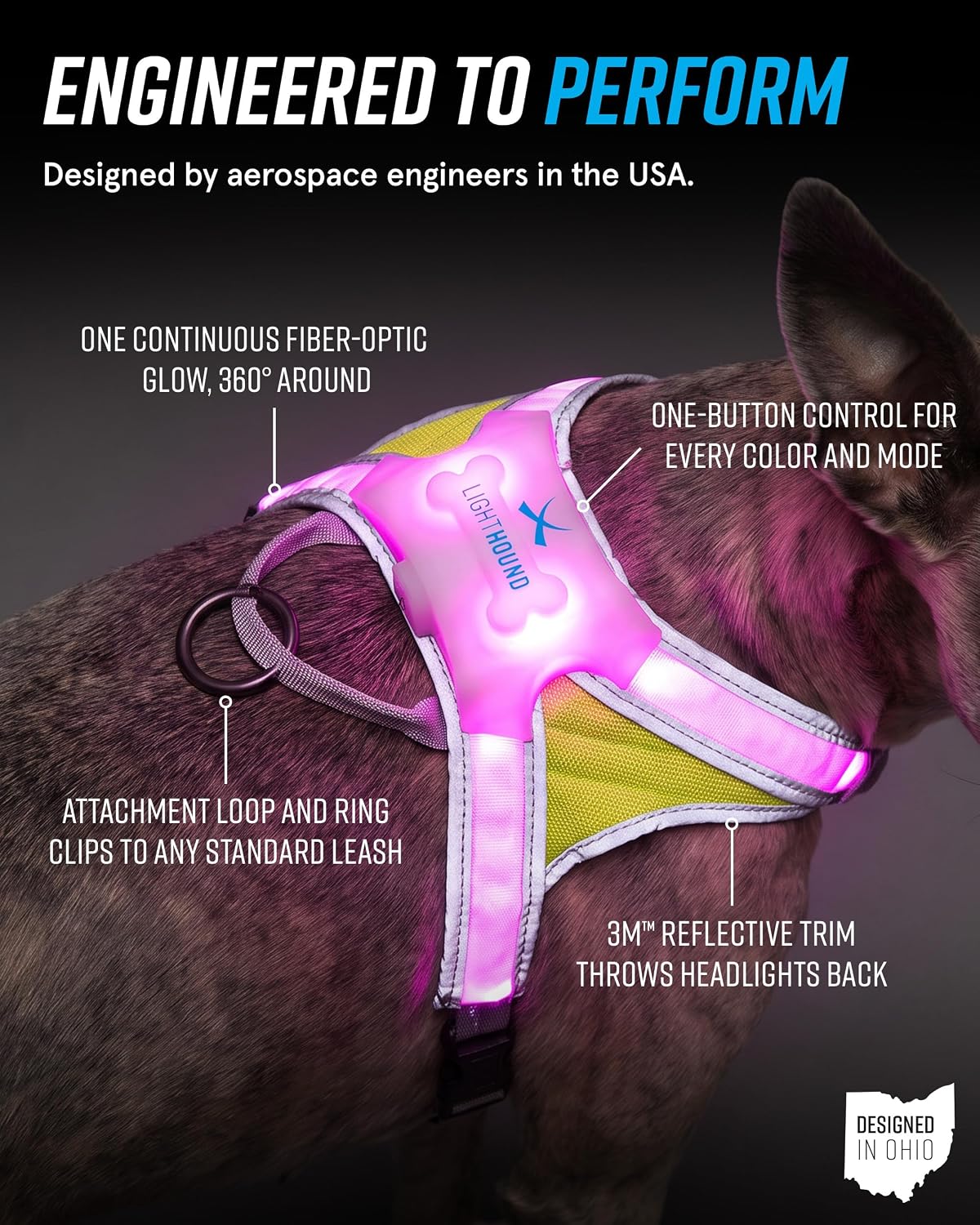 noxgear LightHound Light Up Reflective Dog Harness, Large