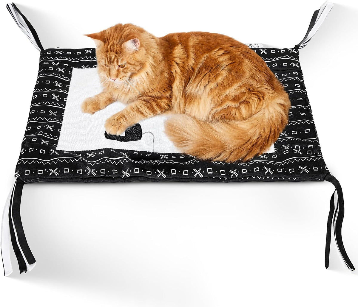 Reversible Crinkle Cat Mat with Mouse Toy, 18" x 13"