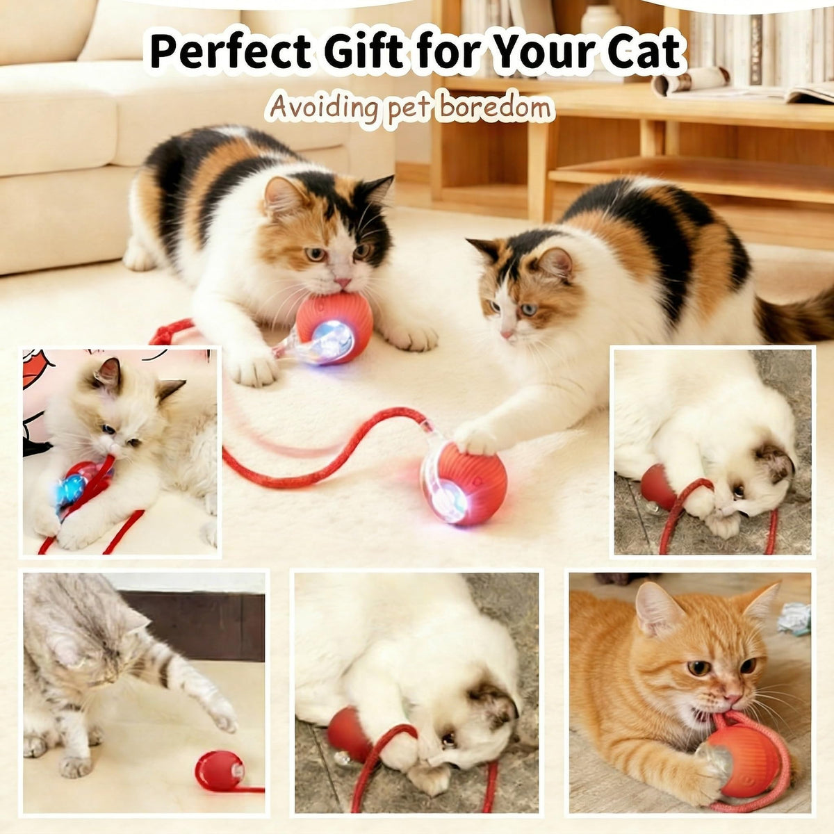 Interactive Cat Toy Ball, 3 Modes, Christmas Gift for Cats