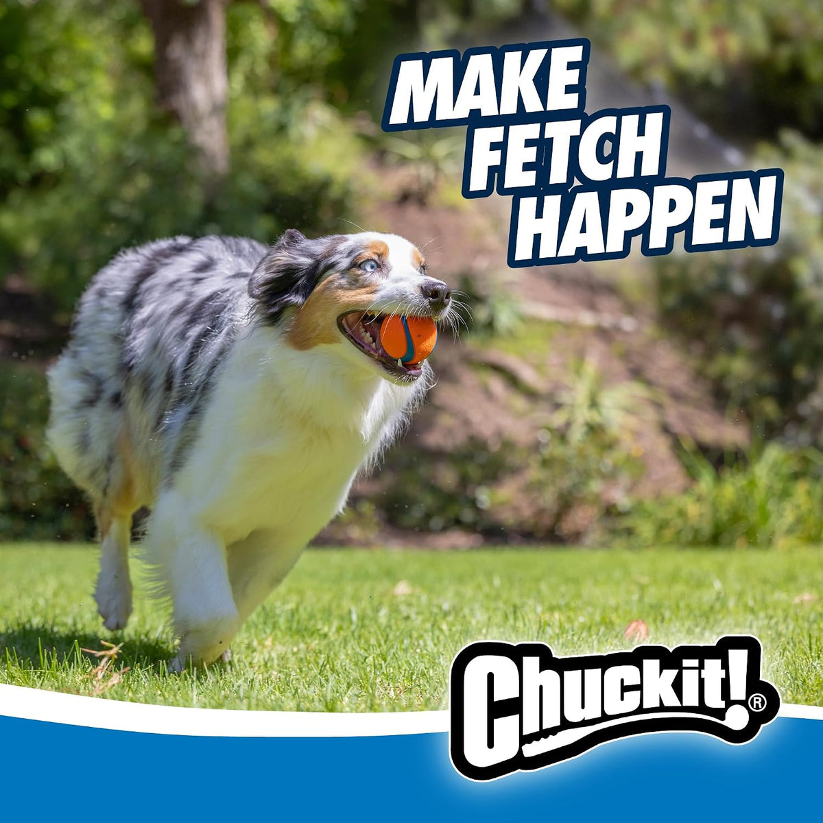 Chuckit! Ultra and Rugged Dog Balls, High-Bounce Fetch, Medium, Set of 3