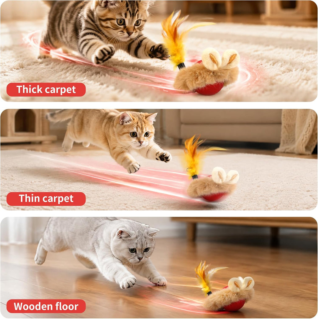 Interactive Cat Toy Ball, Self-Rolling Electric, USB Rechargeable
