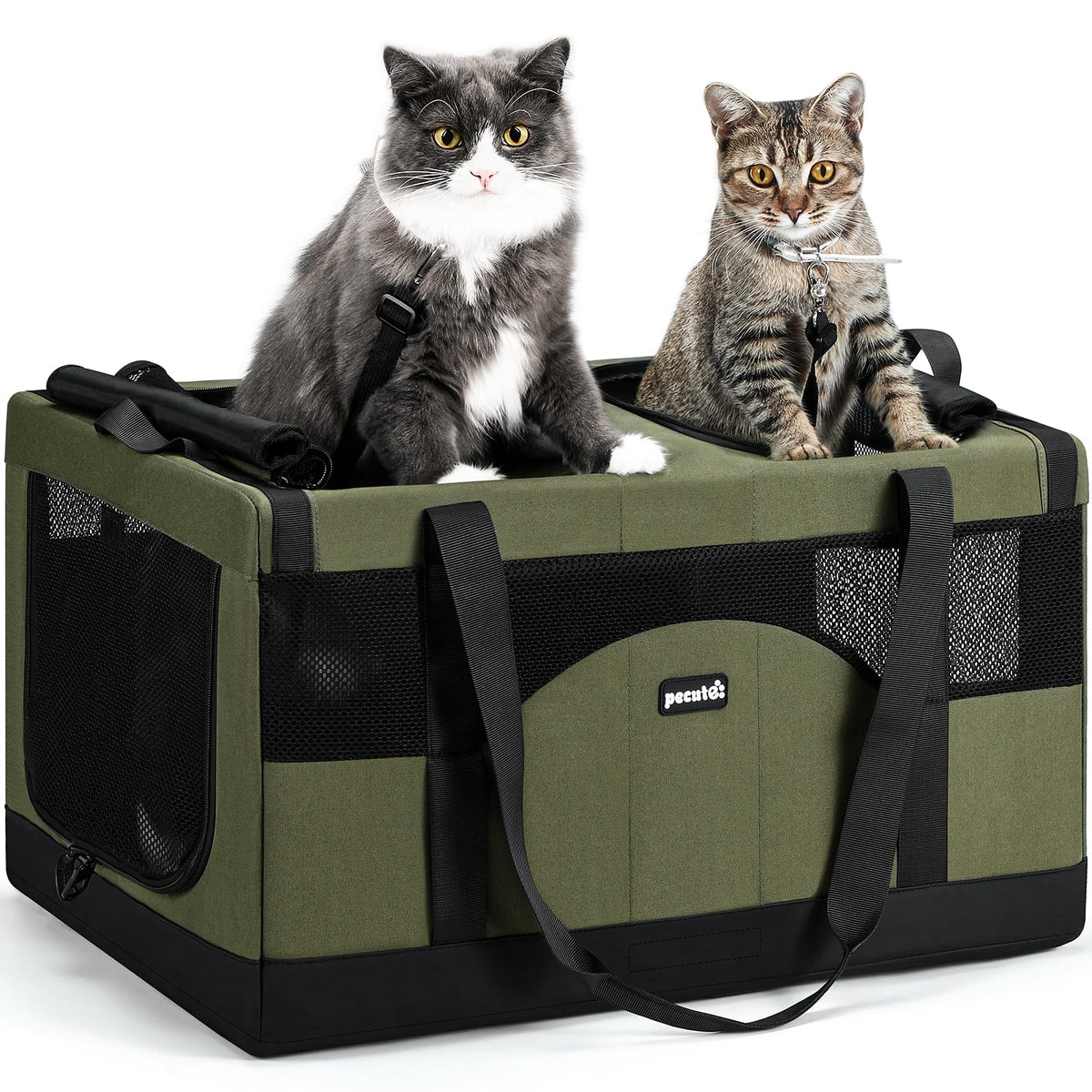 Pecute Large Cat Carrier, Soft Double Pet Crate for 2 Cats Travel, Green