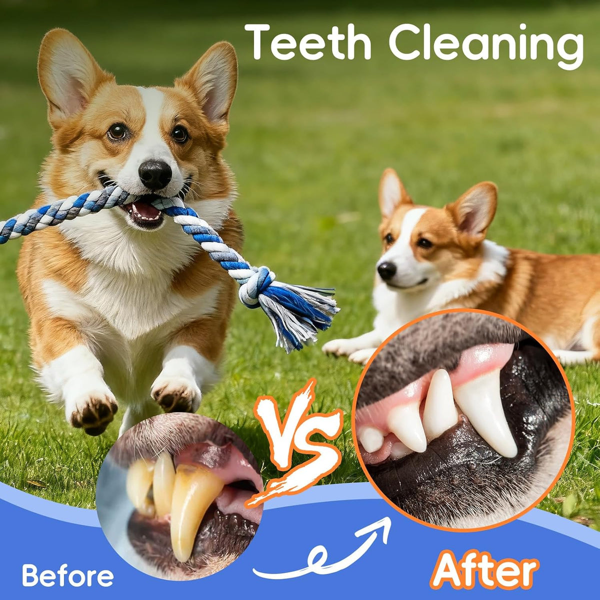 wodoca Dog Rope Toys 4 Pack, Puppy Teething Cotton Knot Chew Rope for Small Medium Dogs, Interactive Tug of War Dog Toys