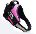 Personalized Dog Harness, Name & Phone, Pink, S