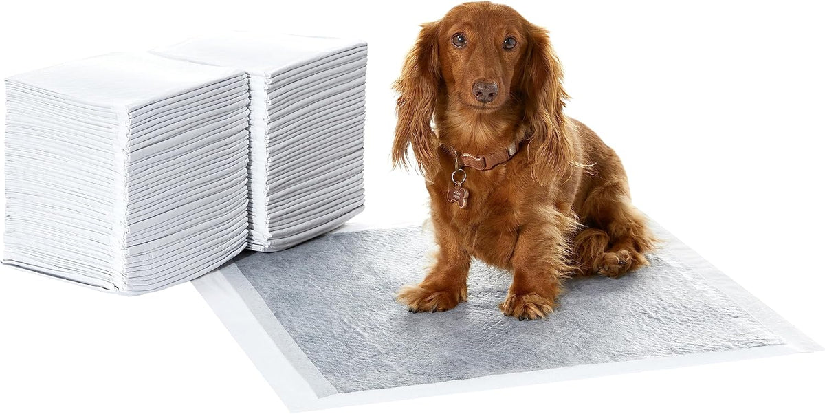 Amazon Basics Carbon Odor Control Dog and Puppy Pee Pads, 5-Layer Leak-Proof Super Absorbent, Quick-Dry Surface for Pott