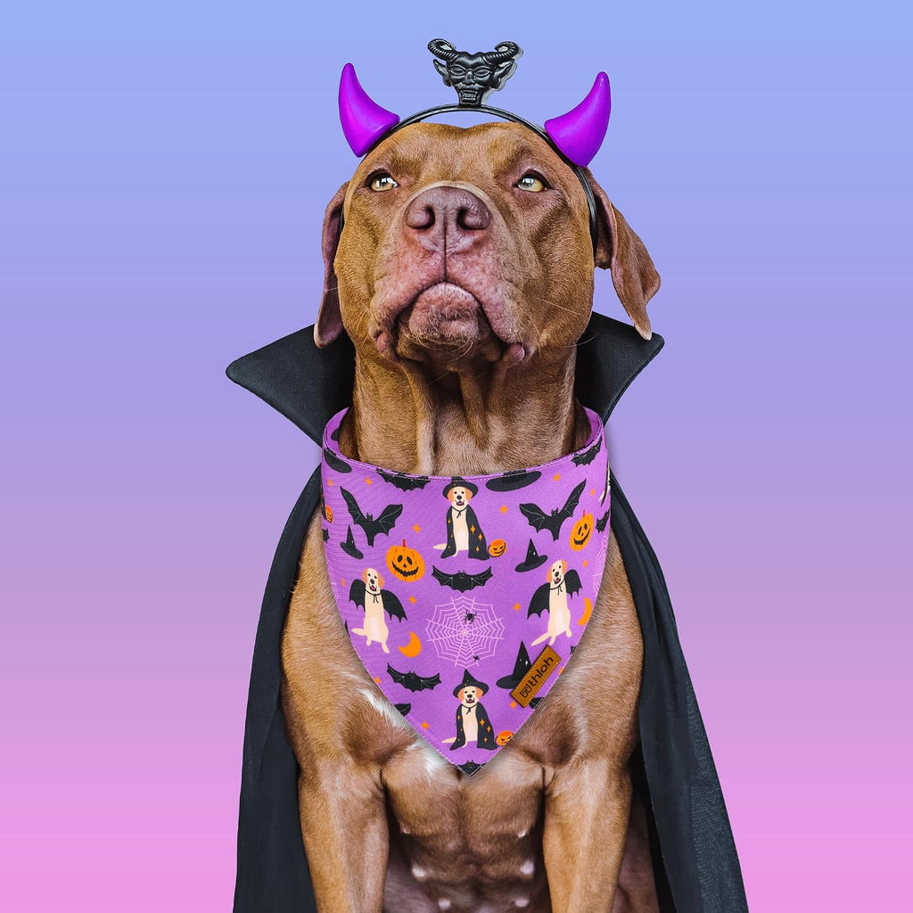 Halloween Dog Bandanas - 2 Pack Purple Dog Bandana with Snap Button | Reversible Pet Scarf for Boy & Girl | Premium Dura