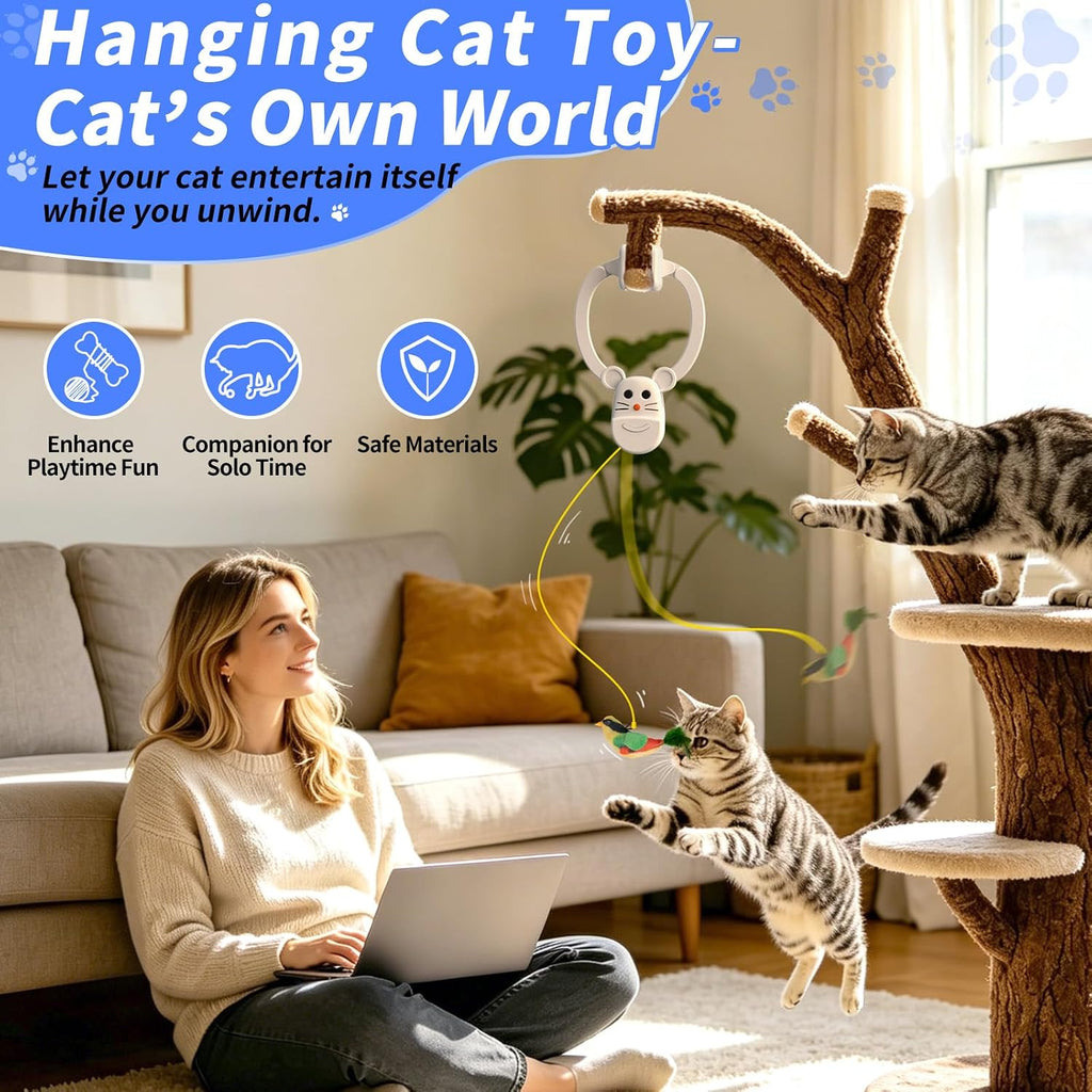 Interactive Cat Toys for Indoor Cats, Door Hanging Flying Bird Feather Toy