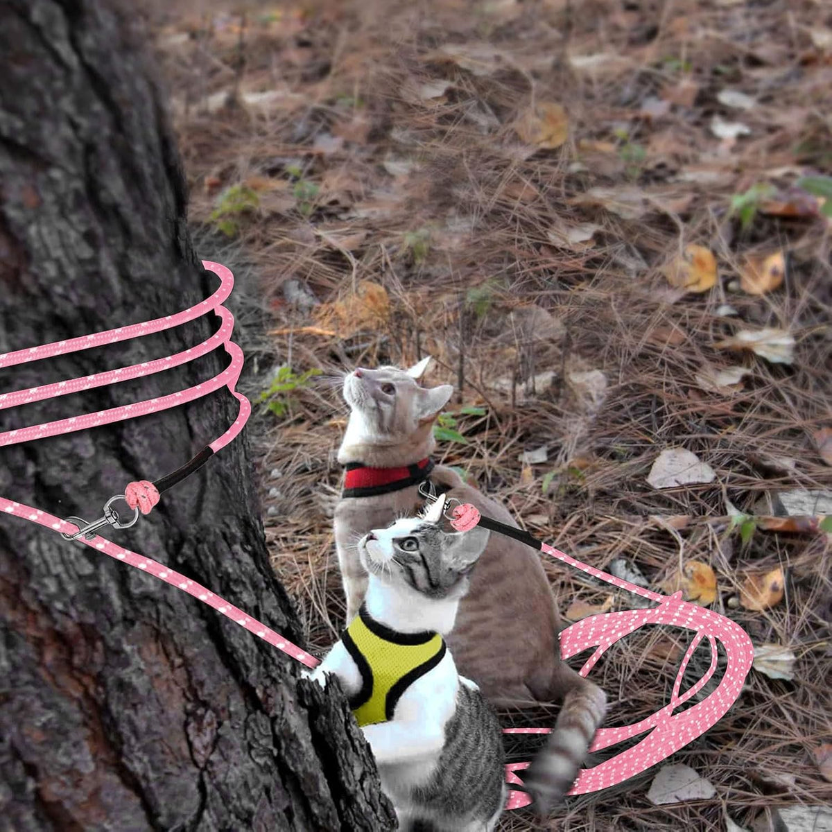 Reflective Cat Long Leash 15 FT, Outdoor Backyard Cat Tie Out Lead, Pink