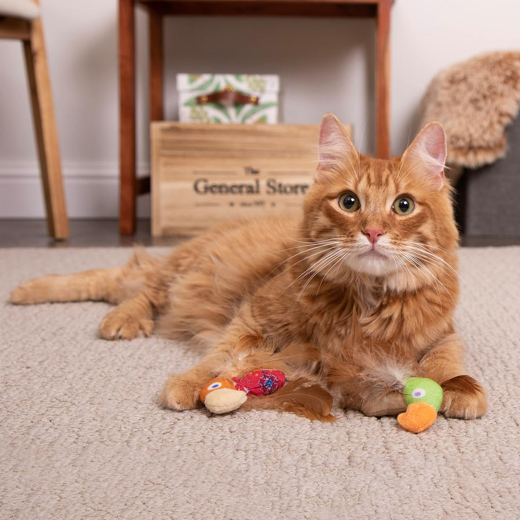 Instincts by SmartyKat 2-Pack HappyNip Love Mates Feather Birds Plush Cat Toys, Contains Catnip & Silvervine - Orange/Gr