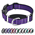 Martingale Collar for Dogs,Reflective Escape Proof,Purple,M