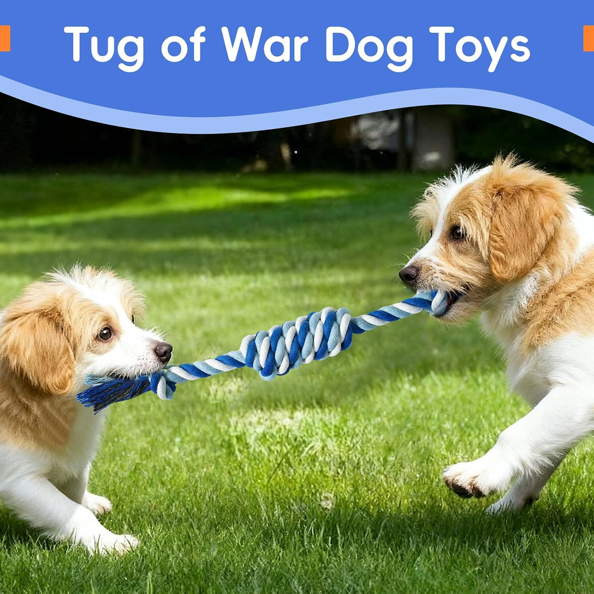 wodoca Dog Rope Toys 4 Pack, Puppy Teething Cotton Knot Chew Rope for Small Medium Dogs, Interactive Tug of War Dog Toys