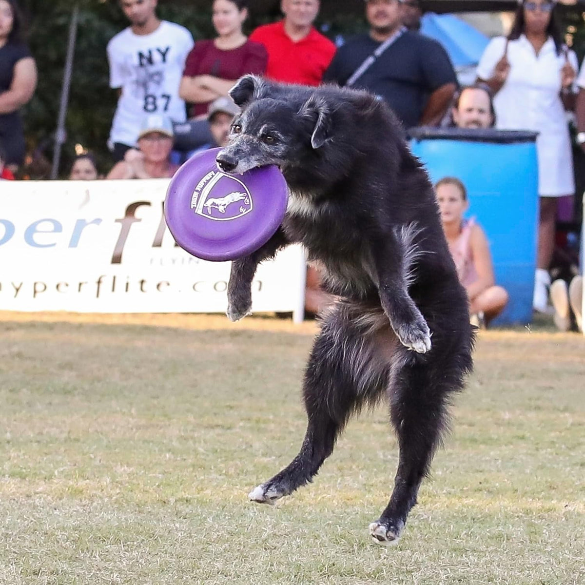 Hyperflite K-10 Hyperflex Flexible Dog Flying Disc, Medium-Large