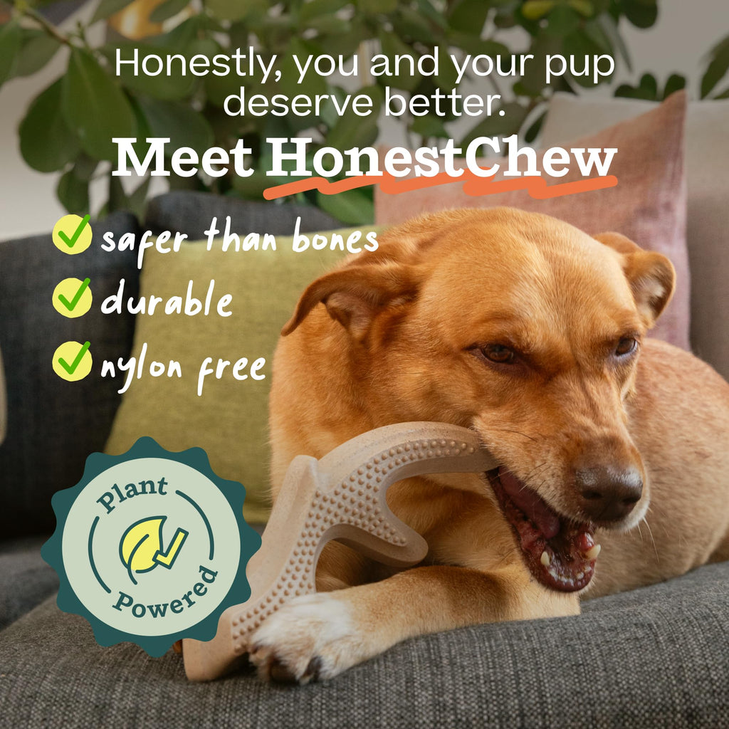 WOOF HonestChew Antler Dog Chew Toy for Dogs 25-60 lbs