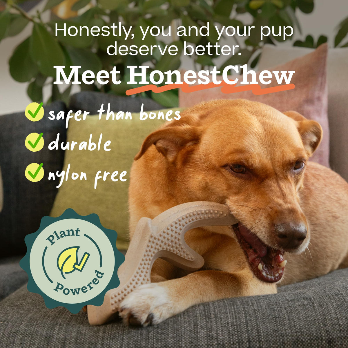 WOOF HonestChew Antler Dog Chew Toy for Dogs 25-60 lbs