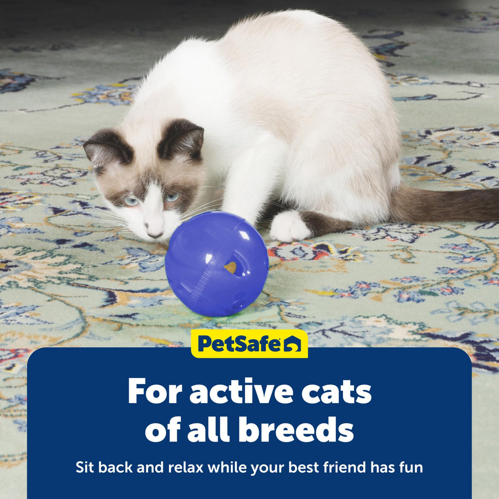 PetSafe Slimcat Feeder Ball Cat Toy, Blue