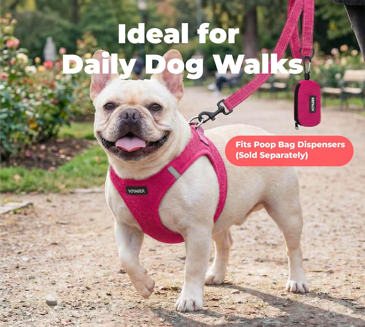 Best Pet Supplies Voyager Nylon Dog Leash - Fuchsia, Small
