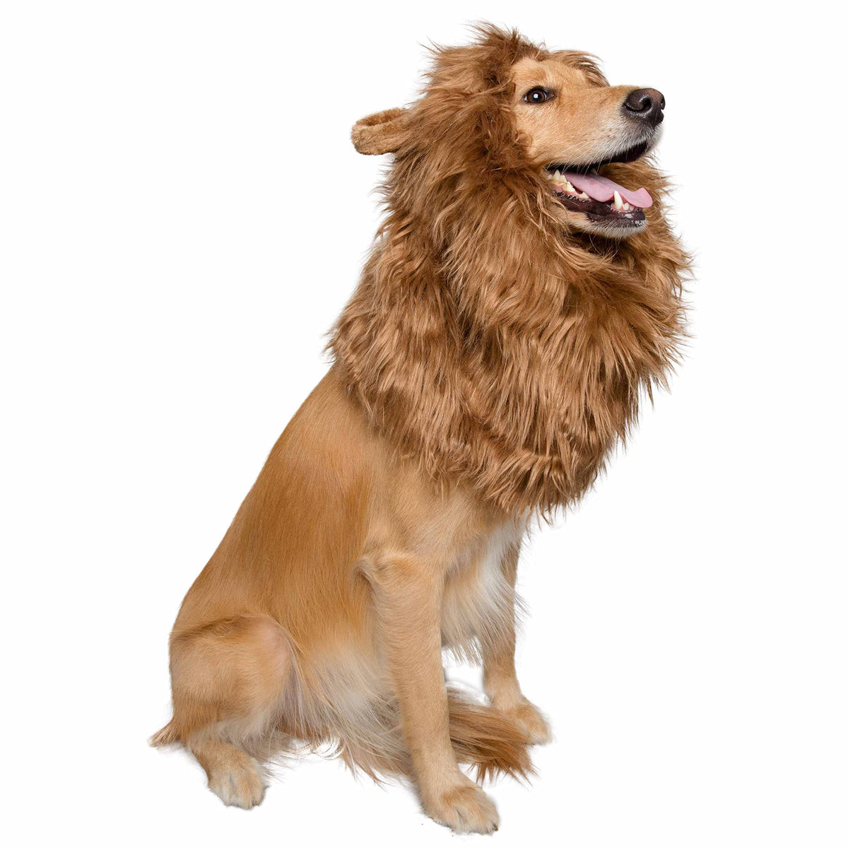 Lion Mane Costume and Big Dog Lion Mane Wig - Large Dog Costumes by Pet Krewe