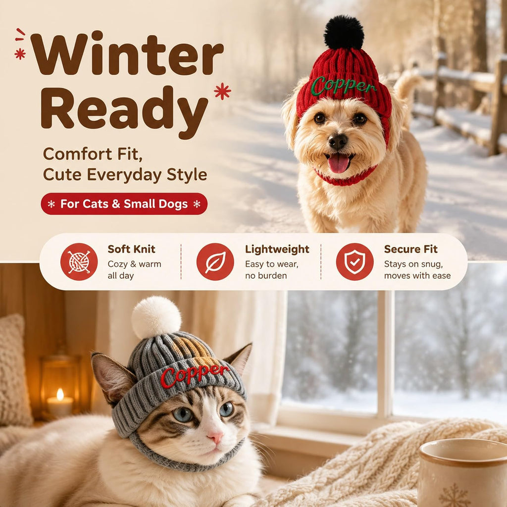 Personalized dog hats Custom Name Embroidered Knit Winter Hat Pet
