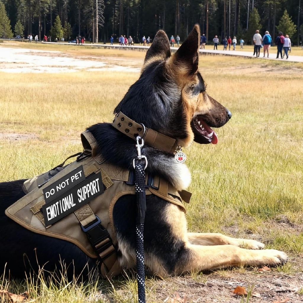Red Emotional Support Patches & ID Tag Set for Collar Harness Vest