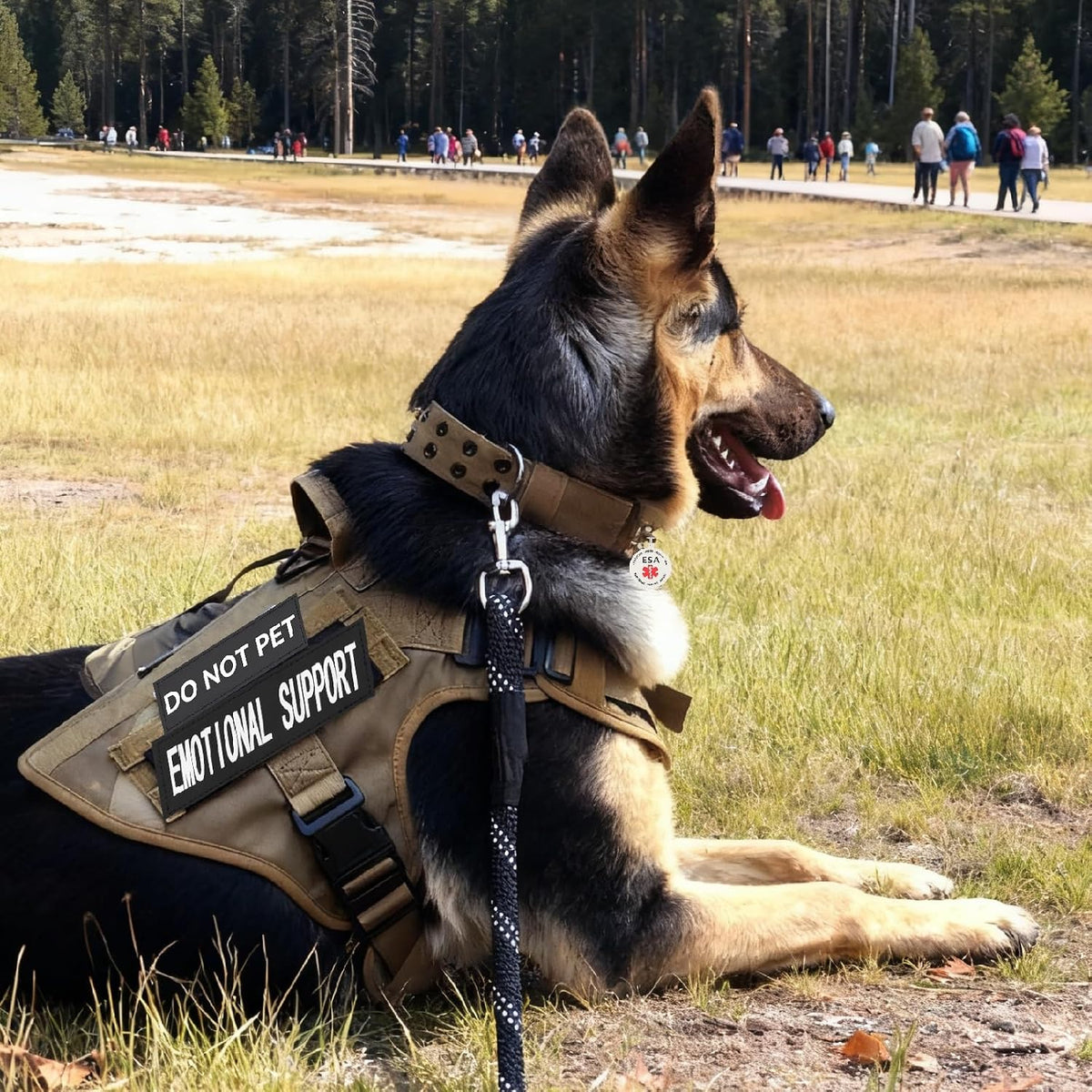 Red Emotional Support Patches & ID Tag Set for Collar Harness Vest