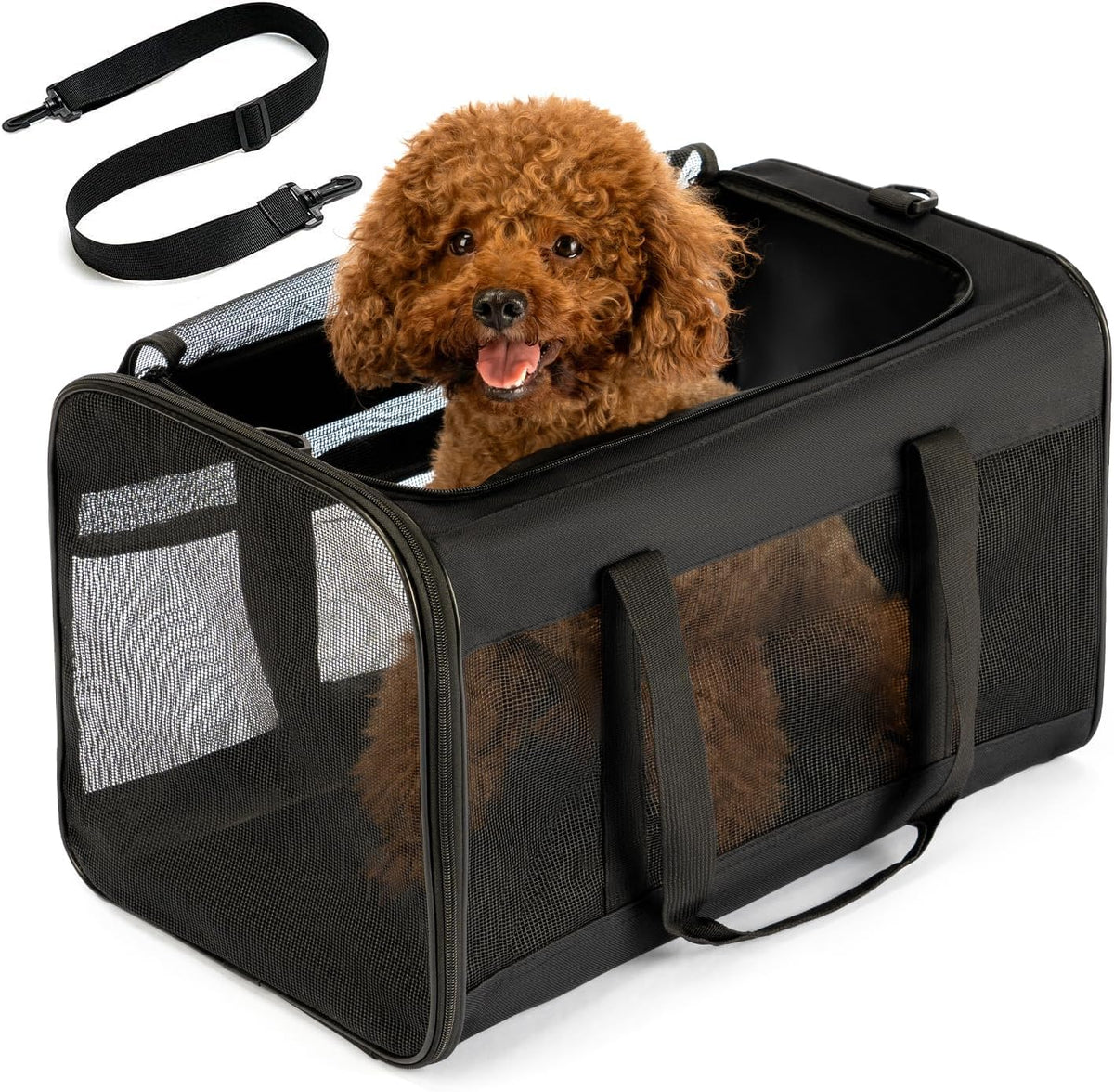 Conlun Cat Carrier Bag,Soft-Sided Pet Carriers for Dogs,M,Black