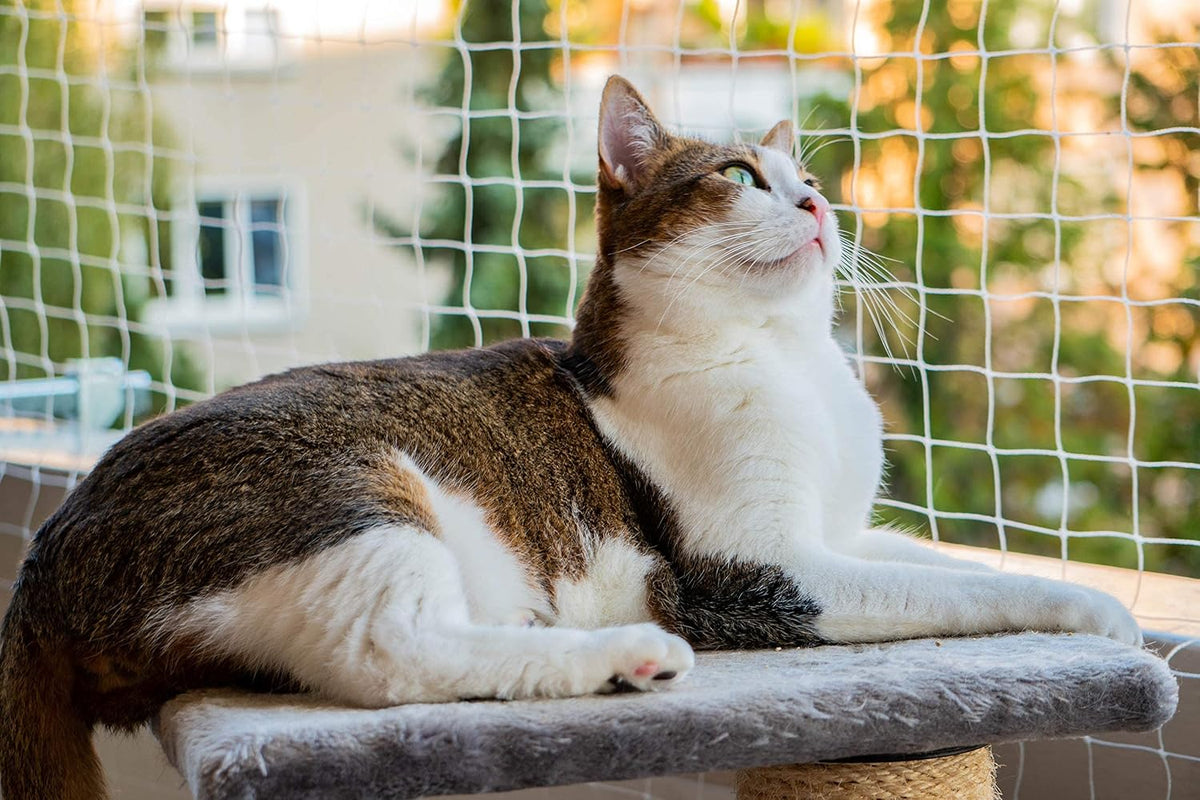 Cat Balcony Netting 10 * 20ft Cat Anti-Fall Netting Duralble Nylon Balcony Screen for Pets Pet Safty Netting for Balcony