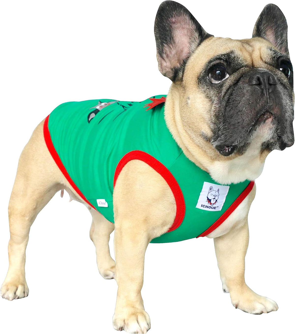 French Bulldog Halloween Costume Shirts Bat Wings Ghost Spiderweb, M