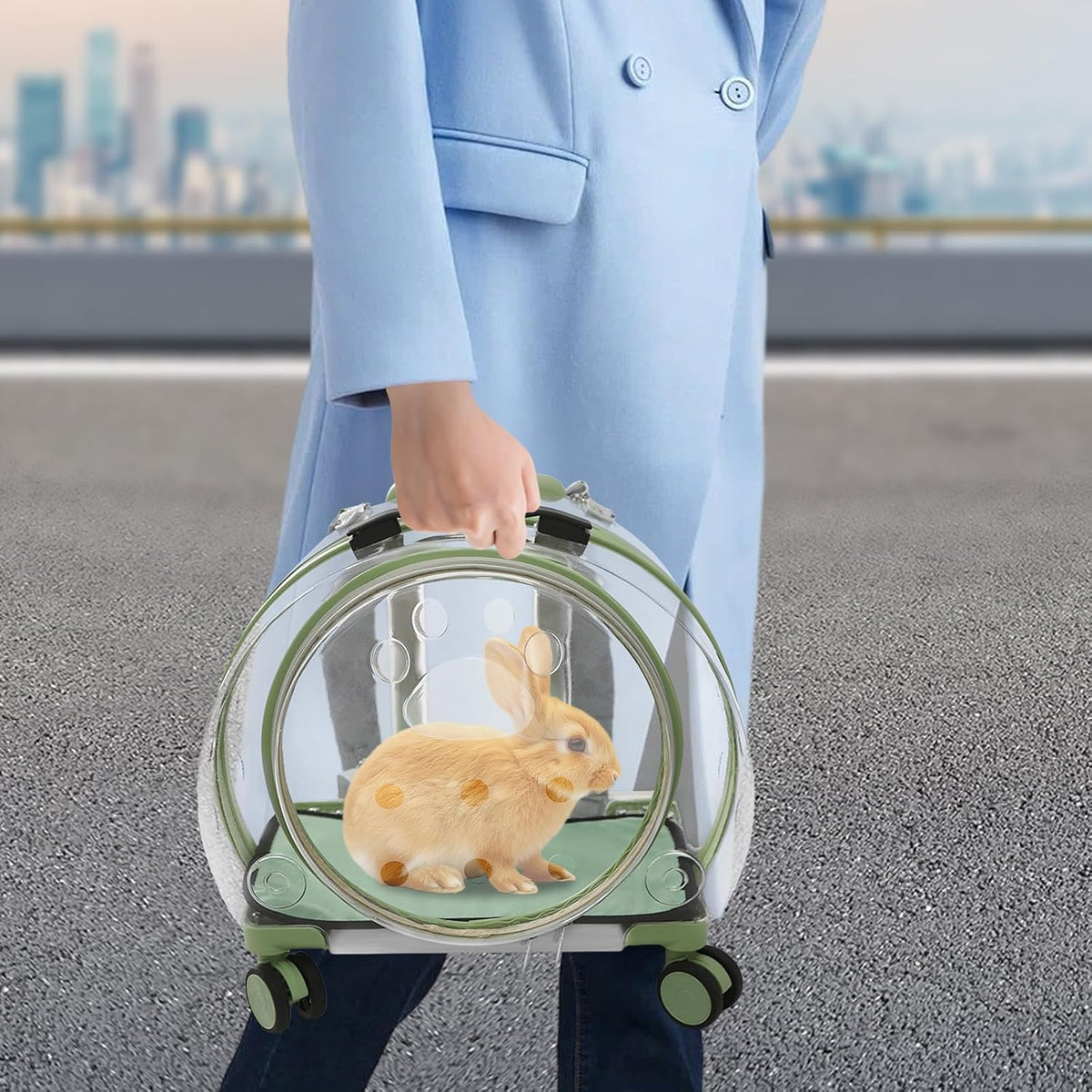 Rolling Cat Carrier Transparent Hard Shell Pet Travel Bag with Wheel(Greem)