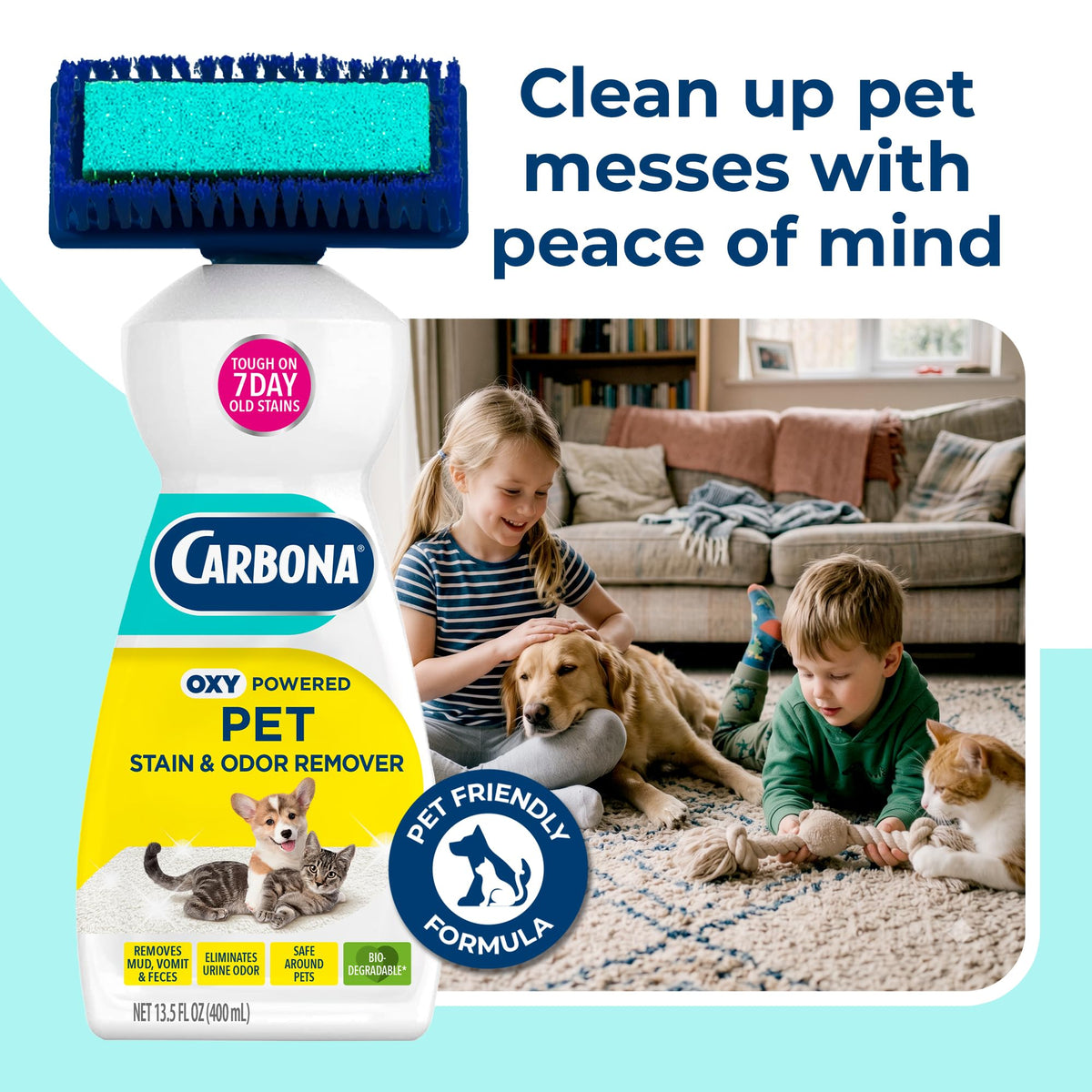 Carbona 2-in-1 Oxy-Powered Pet Stain & Odor Remover, 13.5 Fl Oz