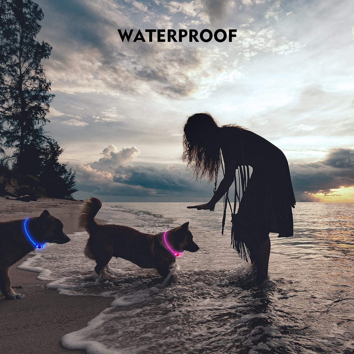 NOVKIN LED Dog Collar, Cut-to-Fit Light Up Dog Collar for Night Walking, IP67 Waterproof USB Rechargeable Glowing Pet Collar, High Visibility Super Bright Safety Lights for S/M/L Dogs(Blue)
