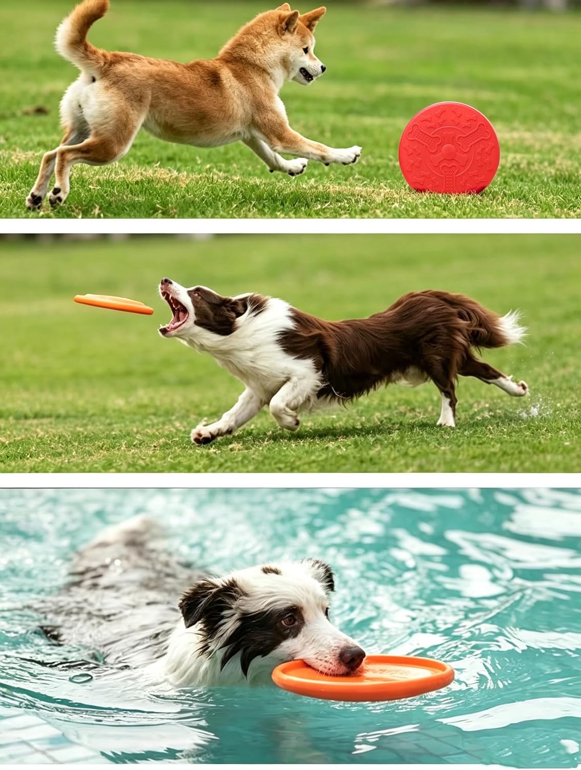 3pcs Flying Discs, Soft Interactive Catch & Fetch Toys Dog Frisbee, Aggressive Chewers,Floats in Water & Safe on Teeth O