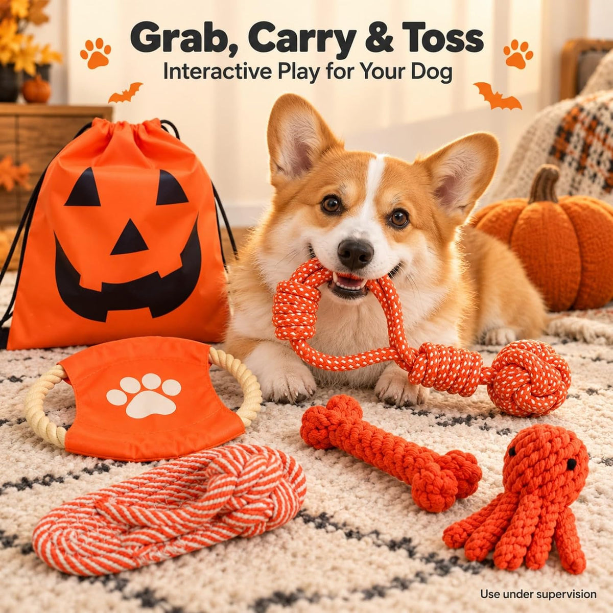 Halloween Rope Dog Toys 5-Piece Set with Pumpkin Ghost Bag
