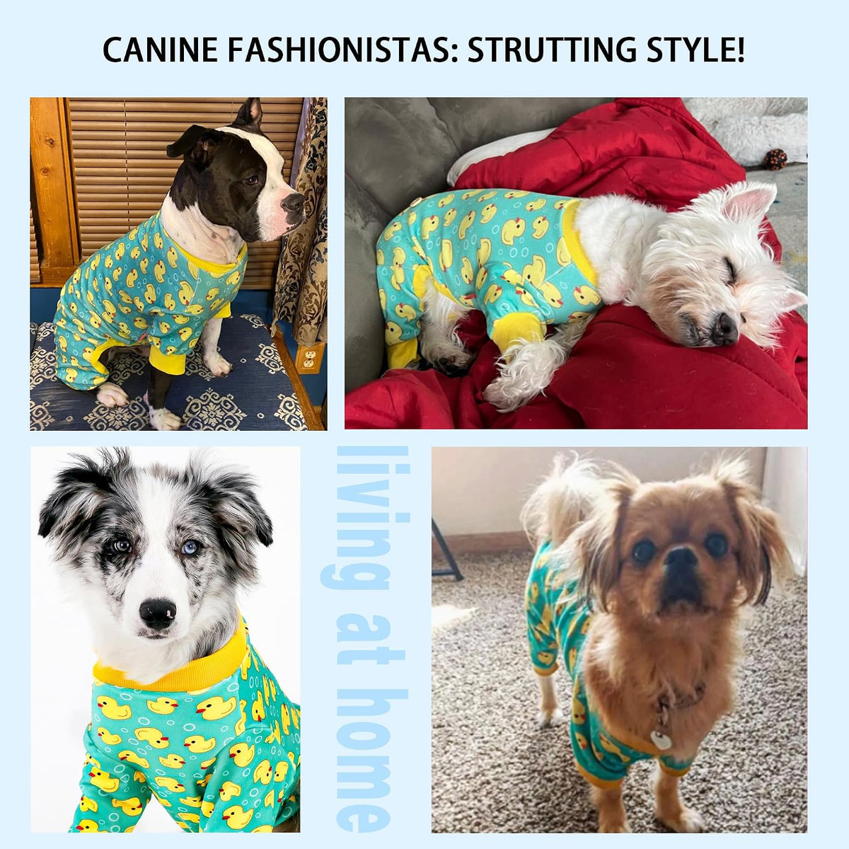 Dog Pajamas Onesie: Comfortable Four-Legged Apparel for Small, Medium, & Large Dogs, Polyester Material for Comfort, Wri