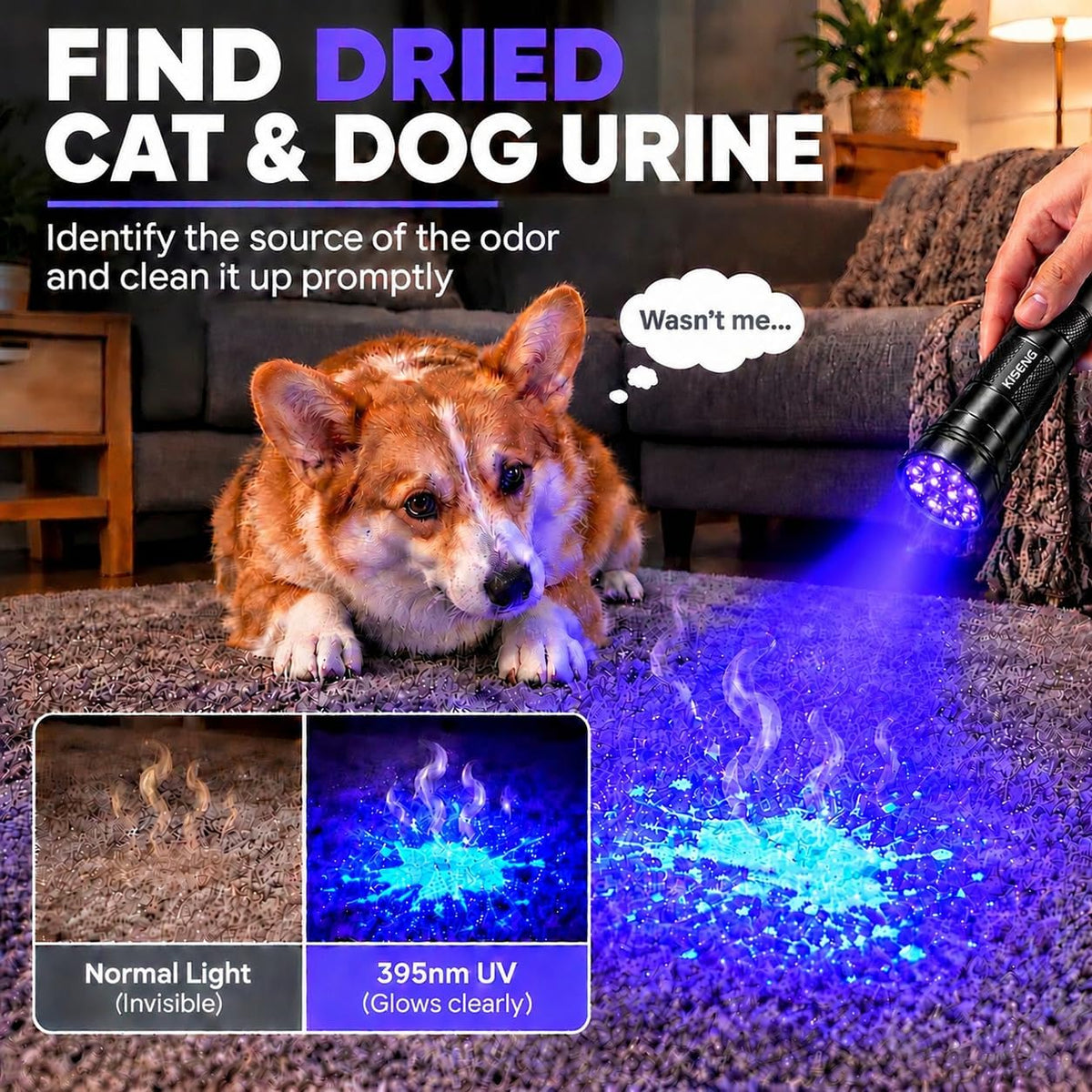 2 Pack 12 LED UV Flashlight Mini Black Light for Pet Urine Detection