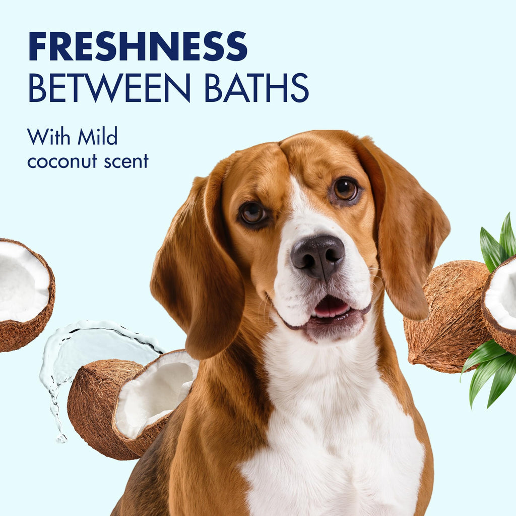 Arm & Hammer Puppy Wipes, Deodorizing Dog Wipes, Coconut Water, 100 Count
