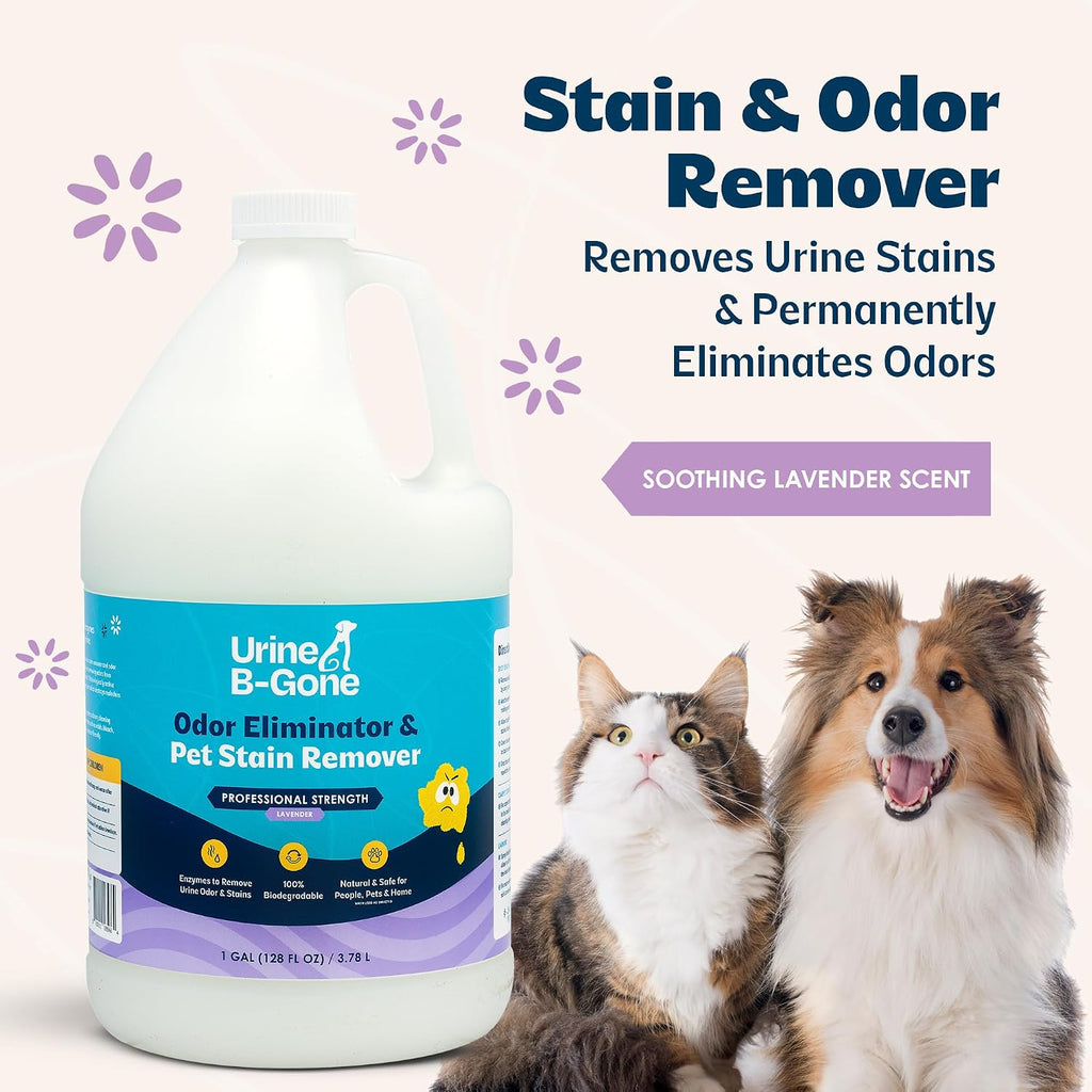 Urine B-Gone Enzyme Cleaner for Human, Cat & Dog Urine, Lavender, 1 Gallon