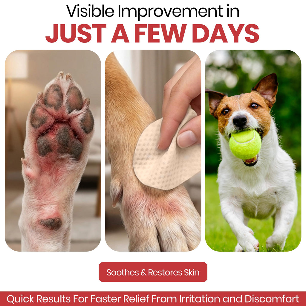 Dog Paw Wipes Antibacterial 50 Count - Antifungal Wipes for Dogs