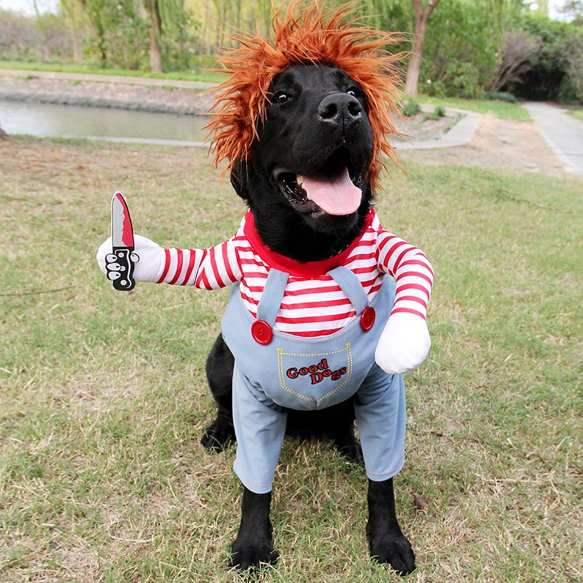 Pet Deadly Doll Dog Costume, Cosplay Halloween Christmas Funny Clothes Party Costume for Small Medium and Large Dogs (Sm